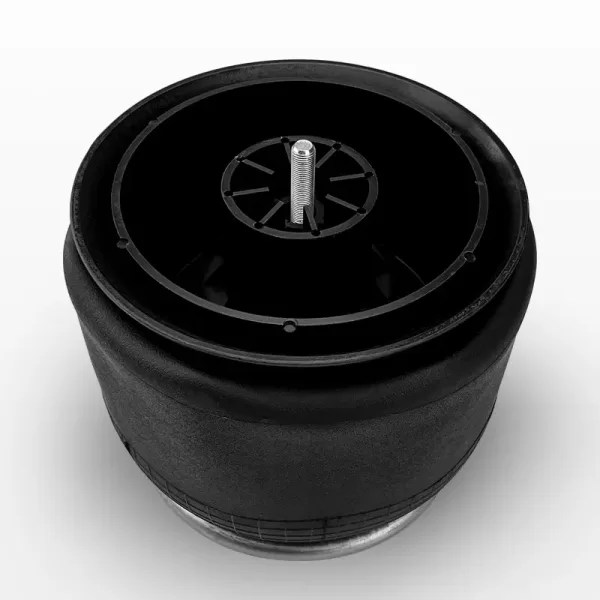 air spring 9069 piston