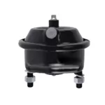 P30 Air Disc Service Brake Chamber