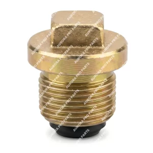 Shacman Oil Plug Magnet Subassembly 5DS50T-1701085